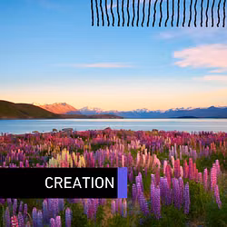 Creation