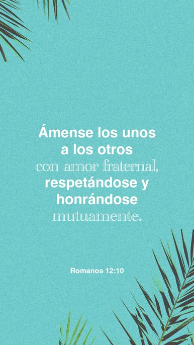 20 de enero - Vertical