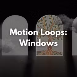 Motion Loops: Windows