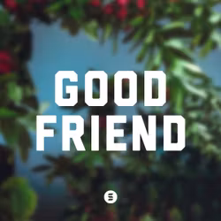 Good Friend 
