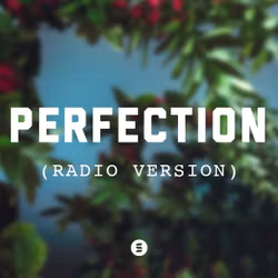 perfection (Radio Version)