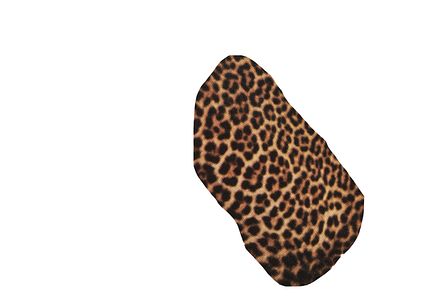 Leopard Spots 1