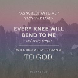 Romans 14:11