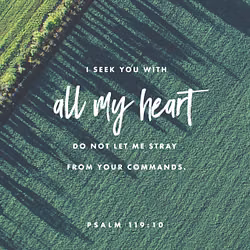 Psalm 119:10