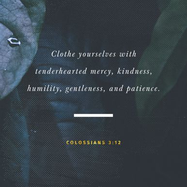 Colossians 3:12