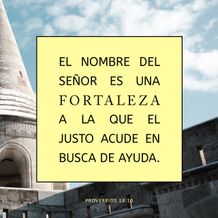 21 de enero - Plaza