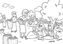 The Big Picnic