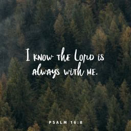 Psalm 16:8