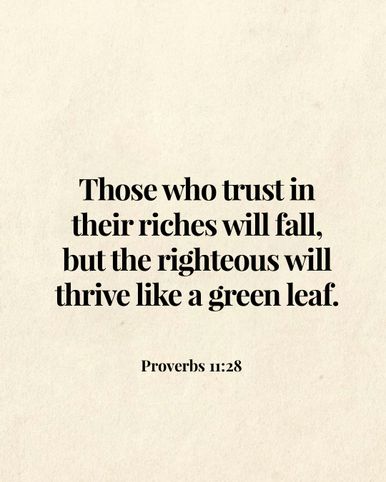 Image 05