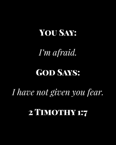 Image 07