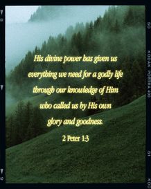 Instagram Vertical Quote 2