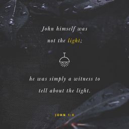 John 1:8