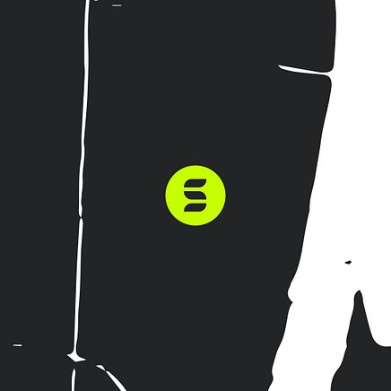 Switch Logo 1 - Square