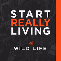 Wild Life Men's Event & Small Group Resources - Season 2