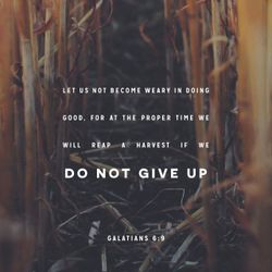 Galatians 6:9