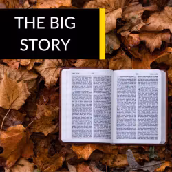 The Big Story