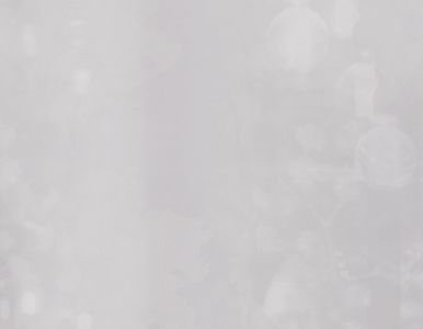 White Background 3 - 3375x2625