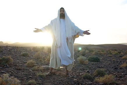 Image 03
