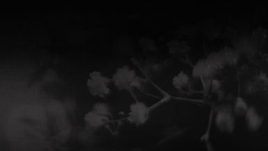 Worship Background - 1920x1080