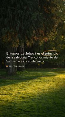 28 de mayo - Vertical