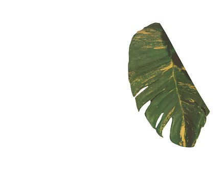 Leaf 4