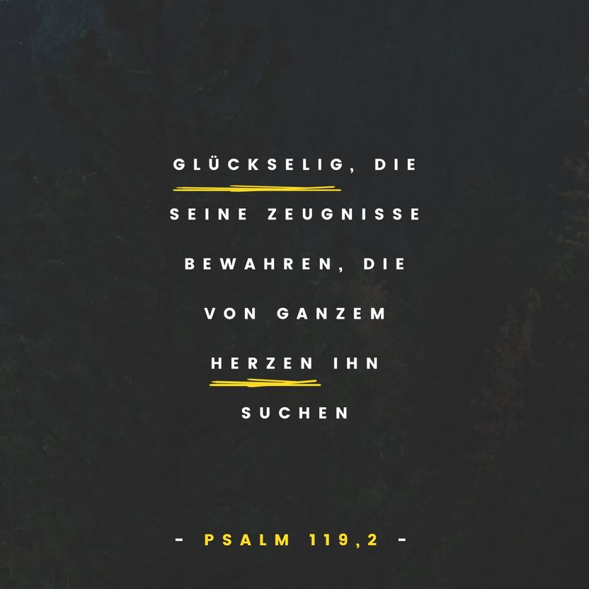 Psalm 119:2