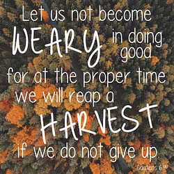 Galatians 6:9
