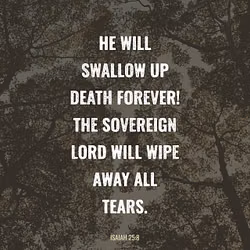 Isaiah 25:8