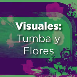 Visuales: Tumba y Flores