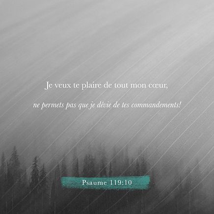 Psalm 119:10