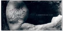 Banner 5