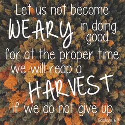 Galatians 6:9