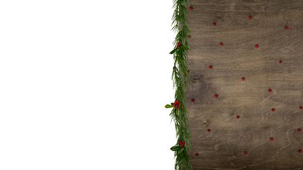 Photo 7 - Point Background