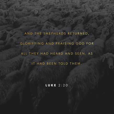 Luke 2:20