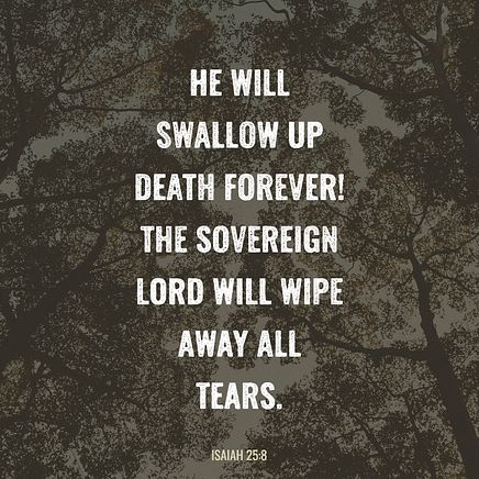 Isaiah 25:8
