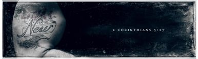 Banner 6