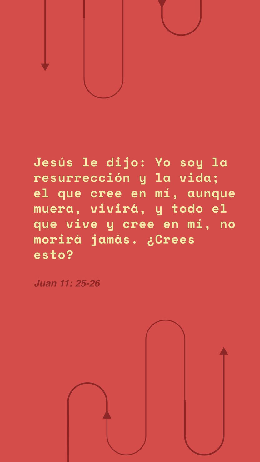 05 de diciembre - Vertical