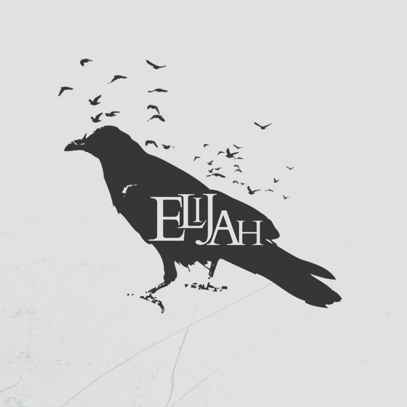 Banner 1