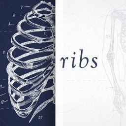 Ribs