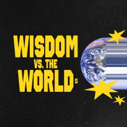 Wisdom vs. The World - Switch