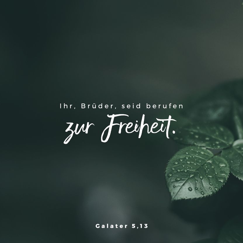 Galatians 5:13