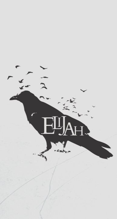 Banner 3