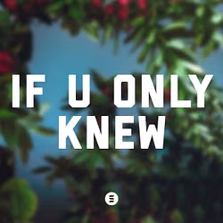 If U Only Knew