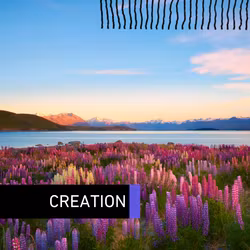 Creation