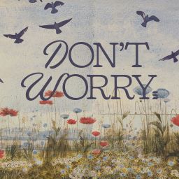 Don't Worry - Switch