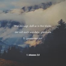 1 John 2:6
