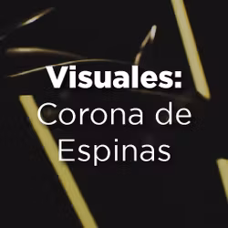 Visuales: Corona de Espinas