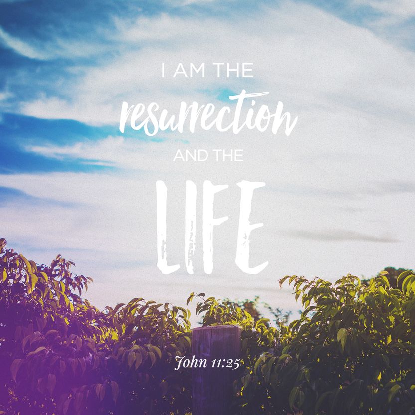 John 11:25
