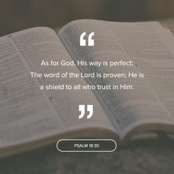 Psalm 18:30