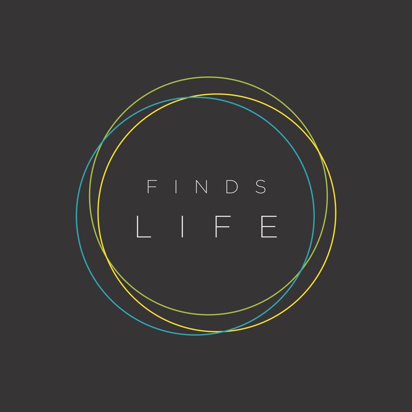 "Finds Life" Shirt Art